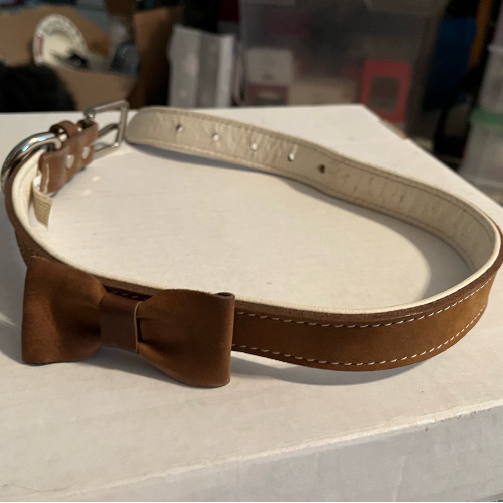Padded leather dog collar